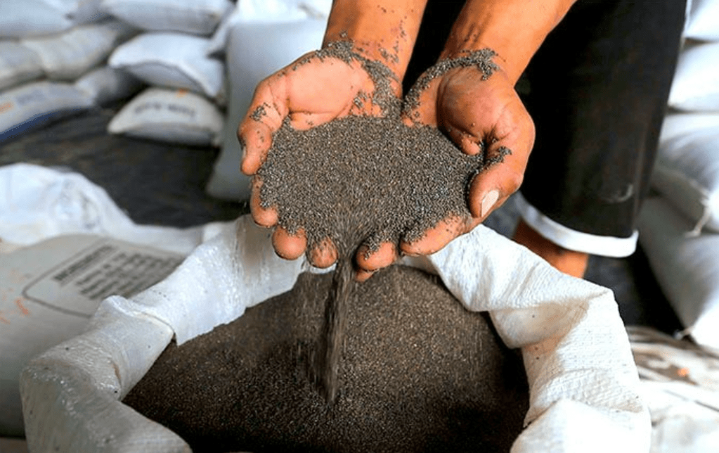 Bolivia proyecta exportar 50 mil toneladas de chía a&nbsp;China