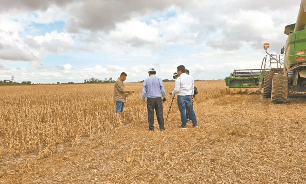Crisis de la soya amenaza la seguridad alimentaria en&nbsp;2025