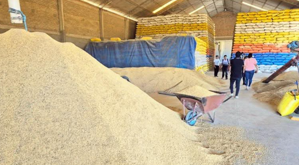 El Gobierno quiere rastrear el arroz desde su cosecha hasta la llegada a&nbsp;mercados