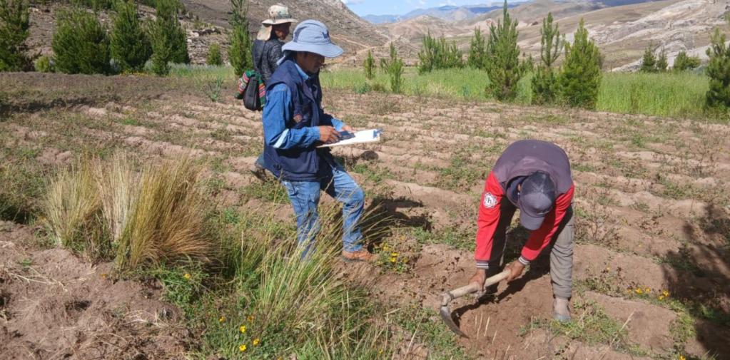 Heladas afectan a más de 145.000 hectáreas y 237.000 productores en&nbsp;Bolivia